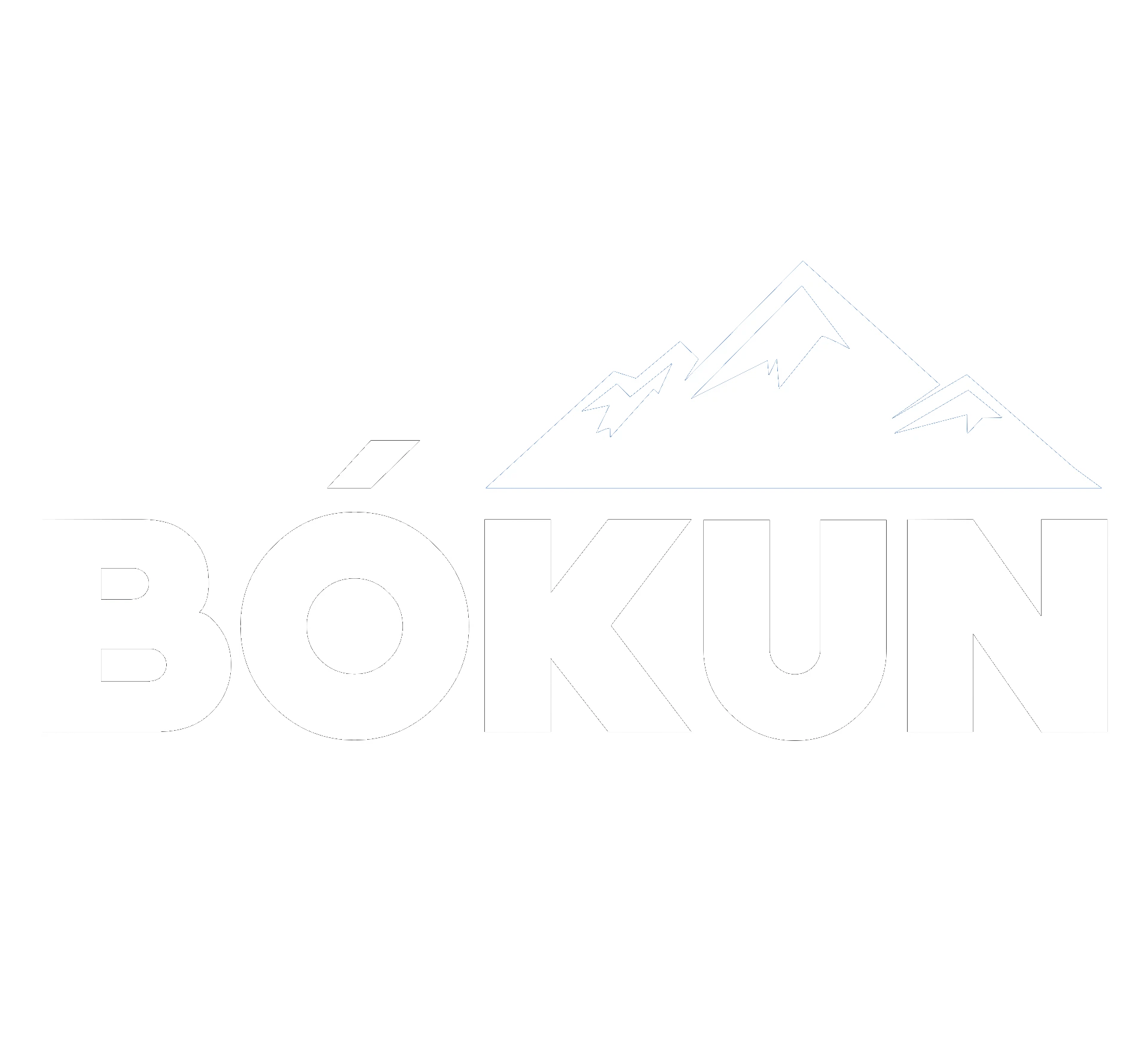 Bokun Logo